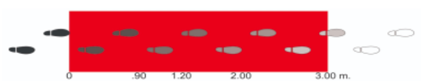 tapetes para entrada de casa personalizados